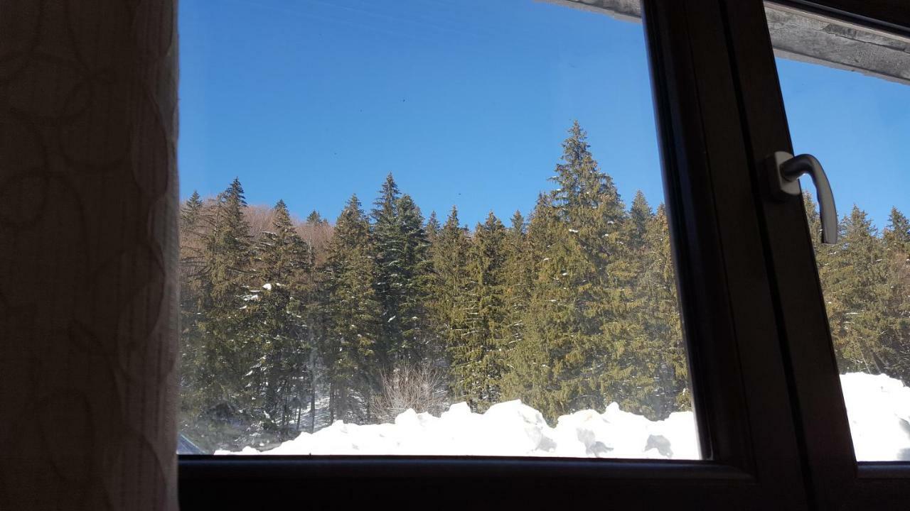 Apartament Andra Poiana Brasov Esterno foto